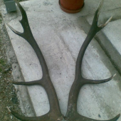 Výradový,ale pekná farba..