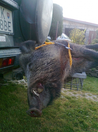 Môj posledný a jeho odvoz.