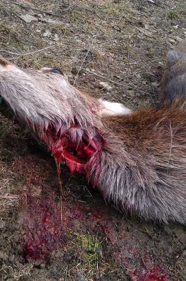 Ešte deň sa trápilo.