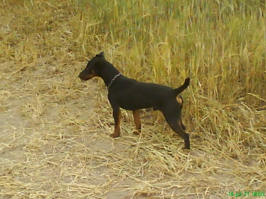 LOT Jasenovské vodopády