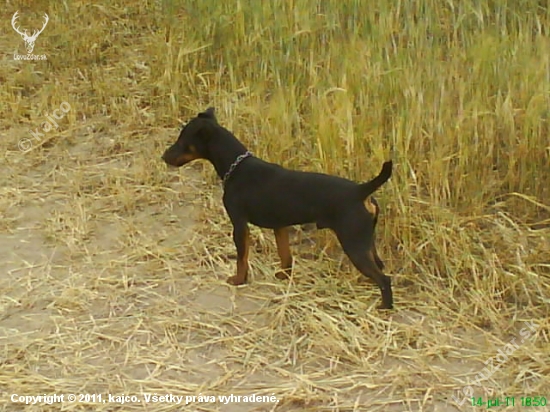 LOT Jasenovské vodopády