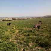 Mida +Asta