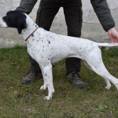 Cera Richard Slovakia