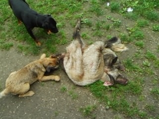 treba využit keždú možnosť na trening