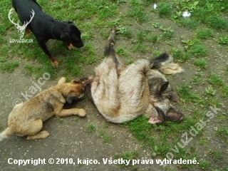treba využit keždú možnosť na trening
