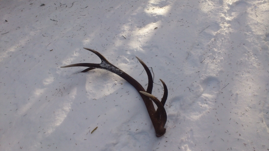 Konečne prvý v živote, 2,80KG