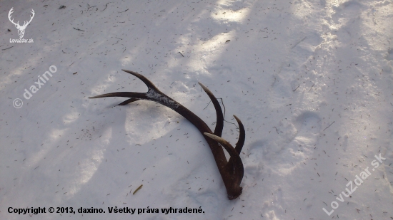 Konečne prvý v živote, 2,80KG