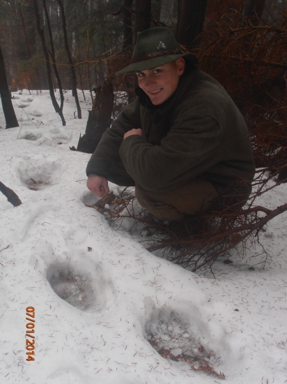 Dnes každých 50 metrov medvedia stopa.