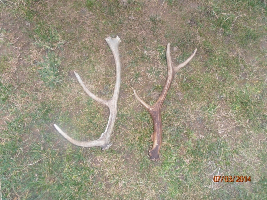 V piatok po obede 1+2/2014