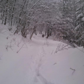 A do tohto sme stúpali v 30cm snehu.