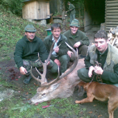 jelen mojho kamarata