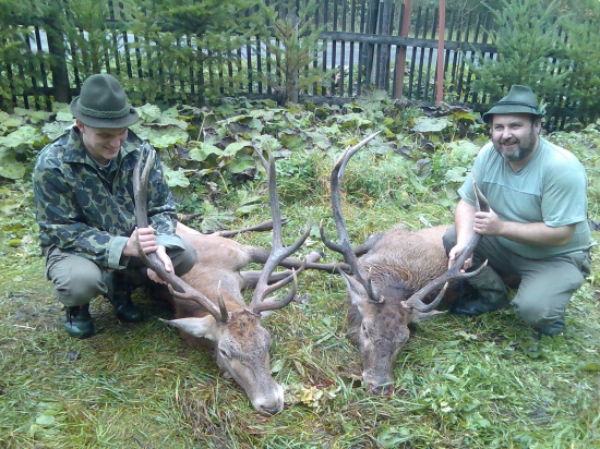 štiavnicke jelene