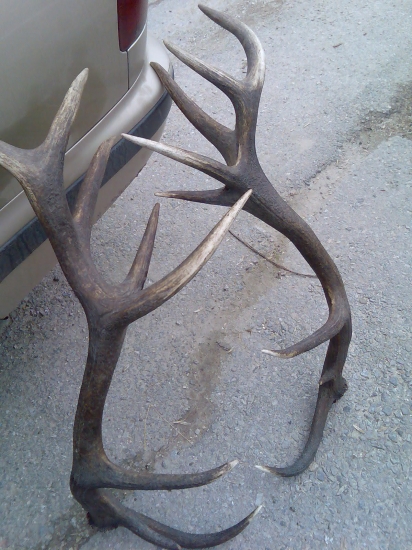 osemnastorak zo štiavnika