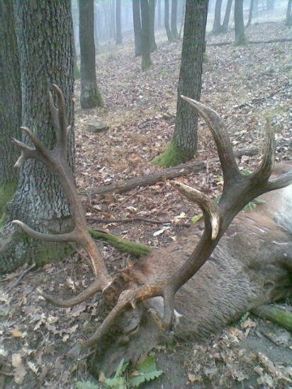 Kráľ krupinskej planiny..