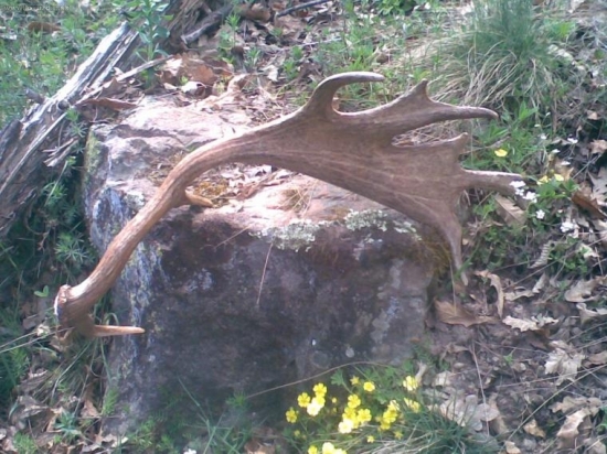 Takto ma čakal..