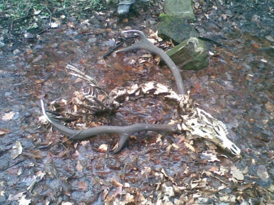 Trubku už odložil..