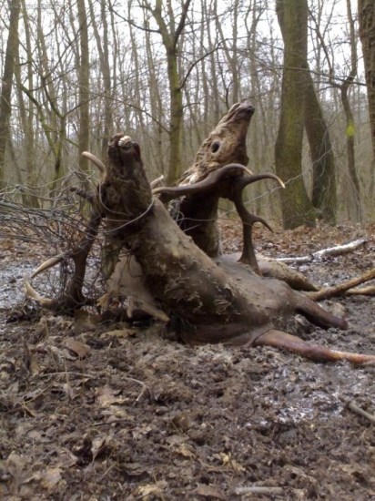 Nerovný súper-ľahostajnosť človeka 1