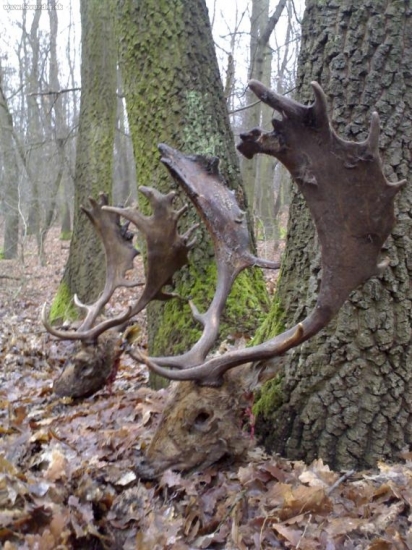 Nerovný súper-ľahostajnosť človeka 2