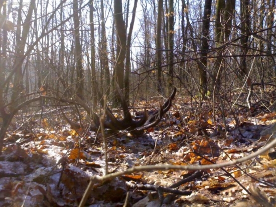 Zaujímavý podrast...