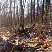 Zaujímavý podrast...