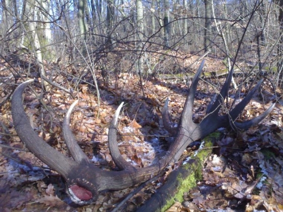 Materák ešte raz...