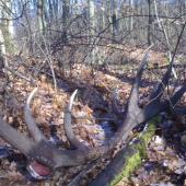 Materák ešte raz...