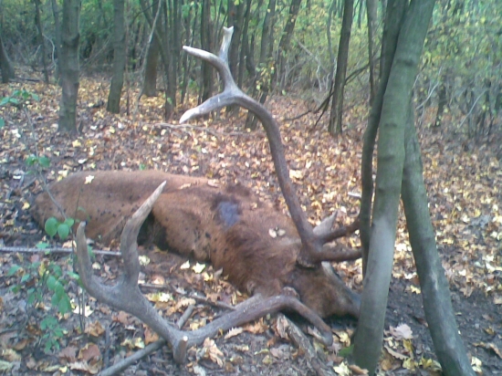 Takto by končiť nemali...