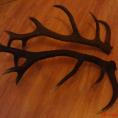 Po roku spolu Ľ-2,60,P-2.40kg