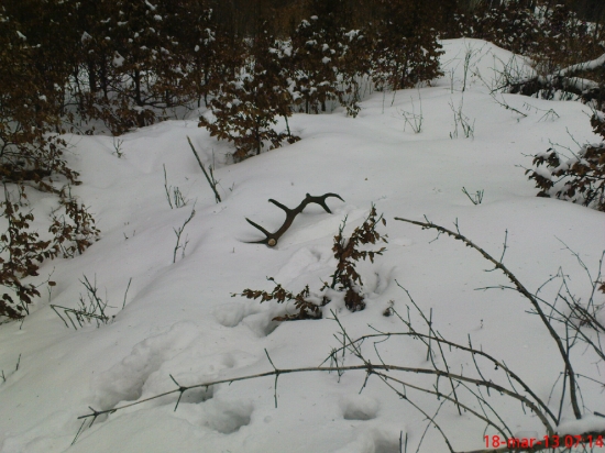 Ešte nájsť druhý