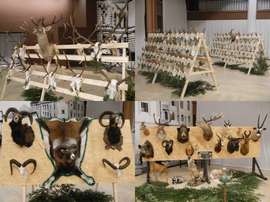 Chovateľská prehliadka trofejí 2012 Košice-okolie