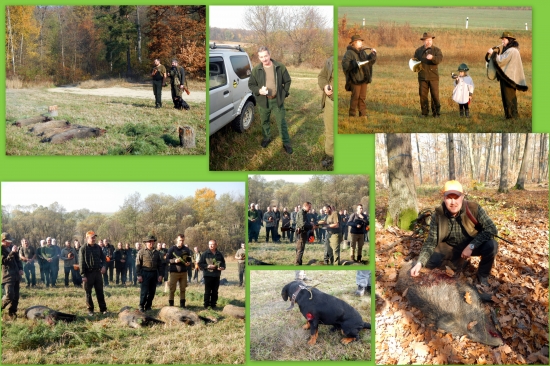 Spoločná poľovačka-postrehy