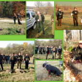 Spoločná poľovačka-postrehy