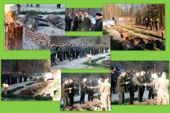 Hosťovská MELES Košice