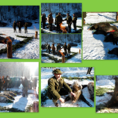 Hosťovská MELES Košice - spomienka 2012