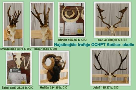 Najsilnejšie trofeje OCHPT Košice-okolie 2014