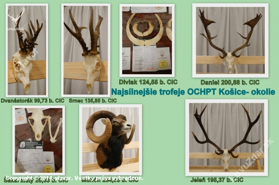 Najsilnejšie trofeje OCHPT Košice-okolie 2014