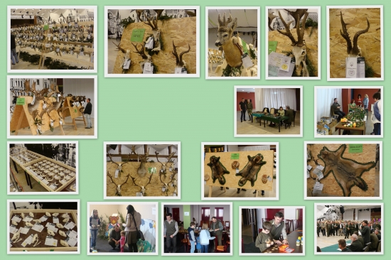 Postrehy z OCHPT Košice - okolie 2014