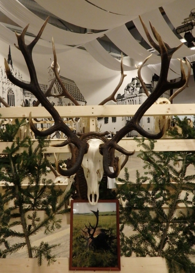 OCHPT Košice-okolie 2014/2015