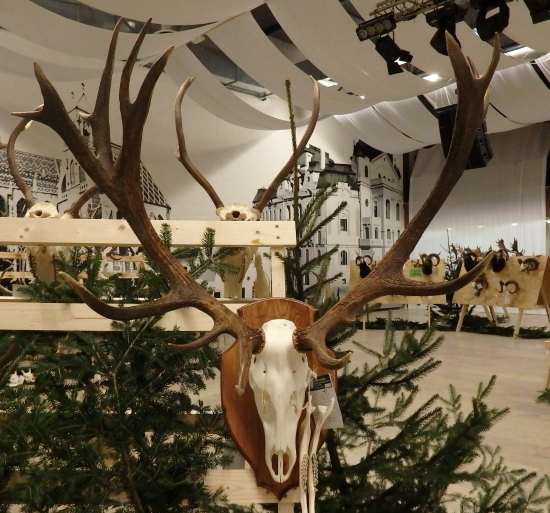 OCHPT Košice-okolie 2014/2015