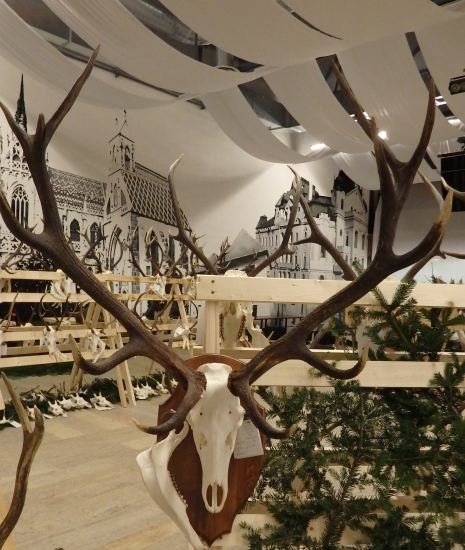 OCHPT Košice-okolie 2014/2015