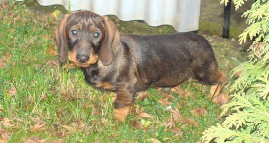 BORO spod Kunovho vrchu