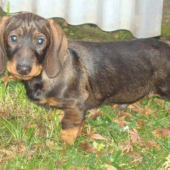 BORO spod Kunovho vrchu