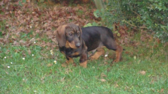 BORO spod Kunovho vrchu