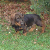 BORO spod Kunovho vrchu