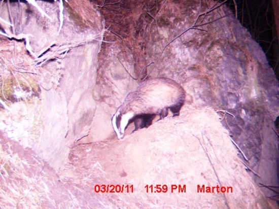 Pod jezevčí skálou ...