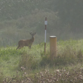 Tá dialnica tu už mala byť :D