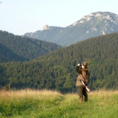 Ferko