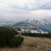 Potulky za hoľniakmi