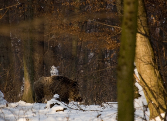 ... potiahnuť... nepotiahnuť ?