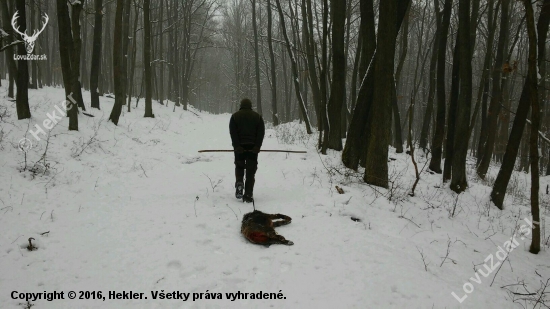 Nenahraditeľné čaro zimnej poľovačky.